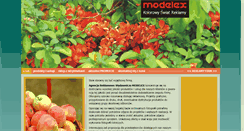 Desktop Screenshot of modelex.pl